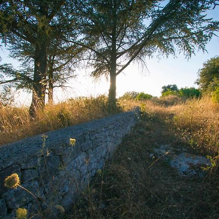 פאסאנו B&B In Fondo Alla Strada מראה חיצוני תמונה