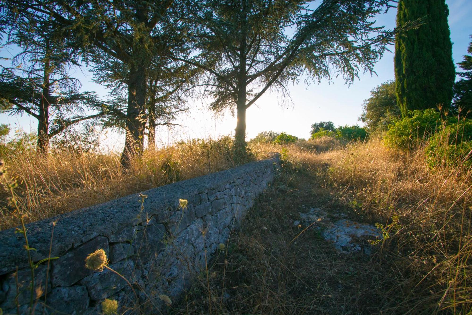 פאסאנו B&B In Fondo Alla Strada מראה חיצוני תמונה